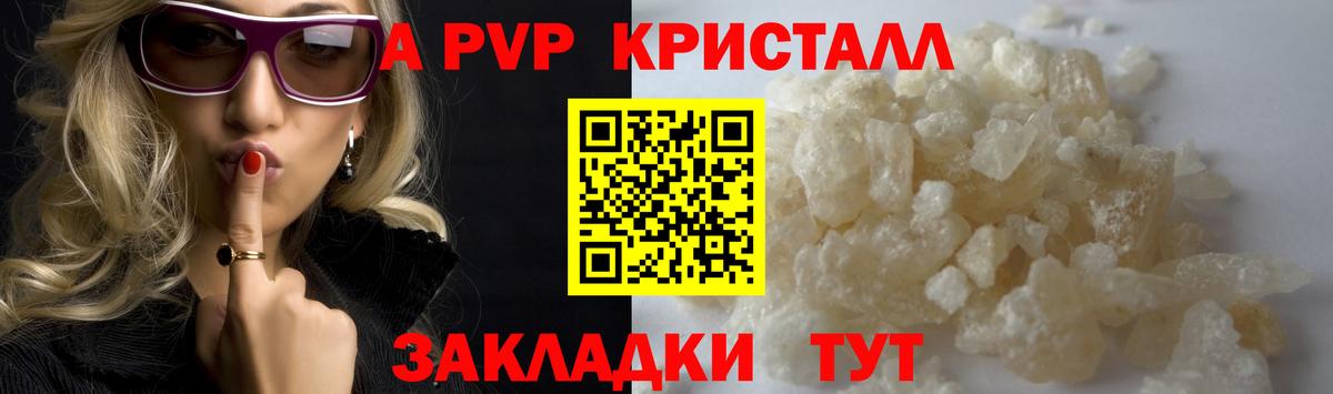 Alfa_PVP СК КРИС Губкин