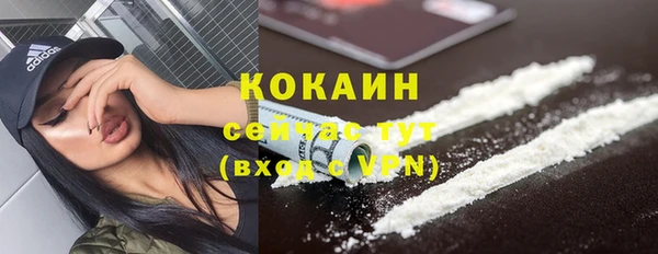 крисы Ессентукская