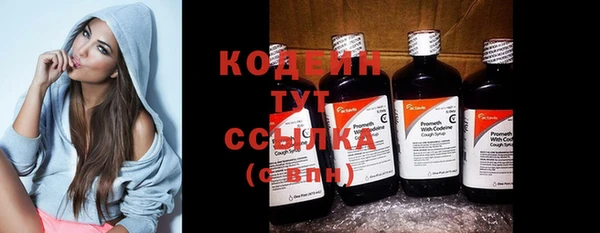 крисы Ессентукская