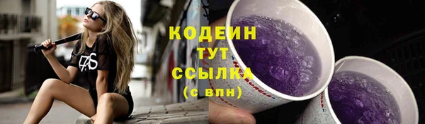 крисы Ессентукская