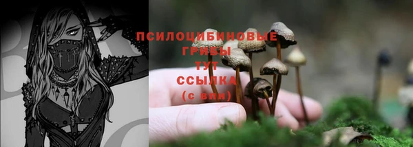 спиды Санкт-Петербург