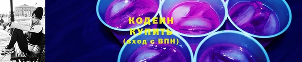 крисы Ессентукская