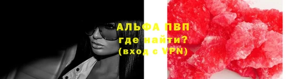 спиды Санкт-Петербург