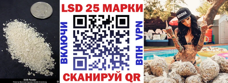 где купить наркоту  Губкин  LSD-25 экстази ecstasy 