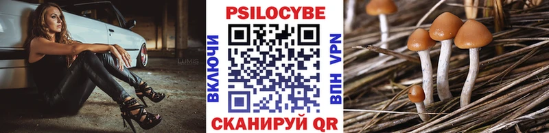 Галлюциногенные грибы GOLDEN TEACHER  Губкин 
