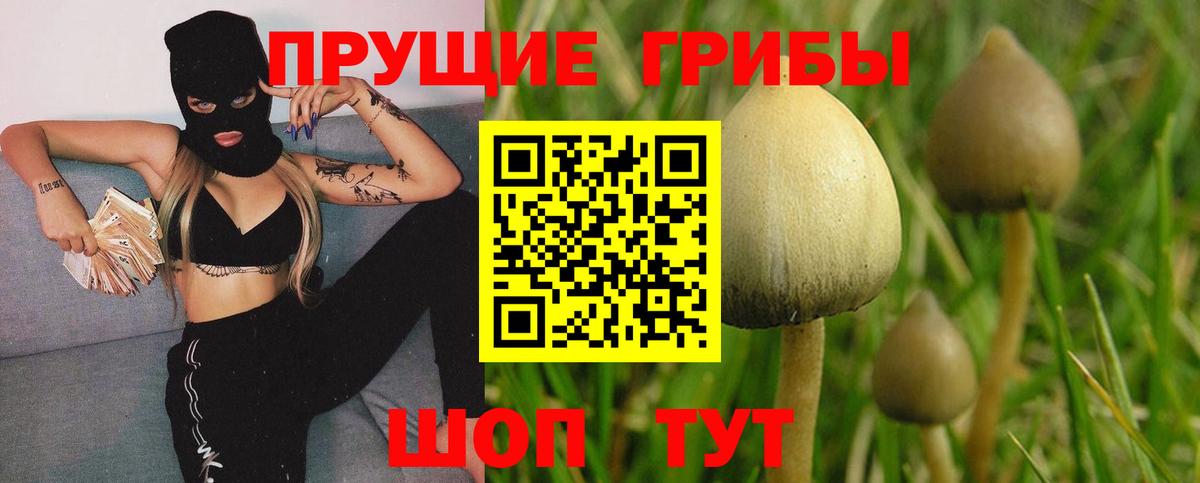Губкин  Псилоцибиновые грибы ЛСД  Вход с VPN 