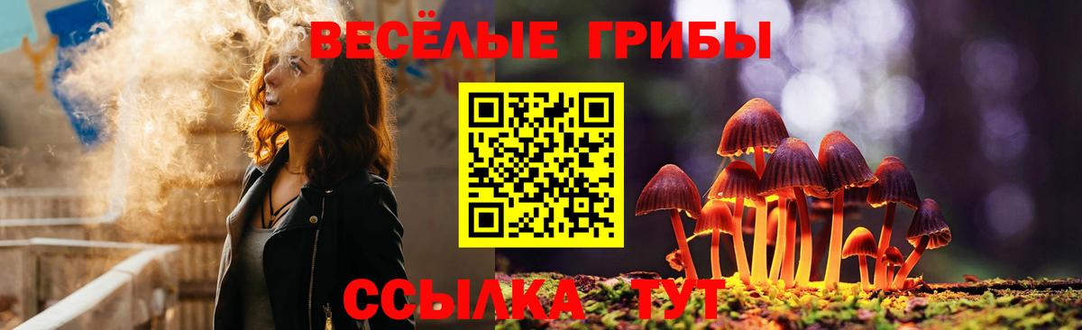 Галлюциногенные грибы Magic Shrooms  где найти наркотики  Губкин 